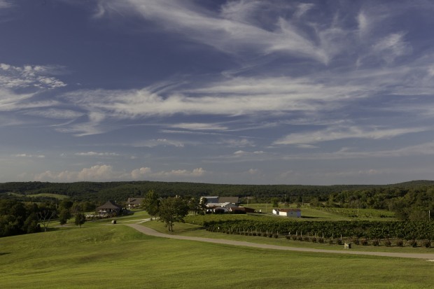 Chaumette Vineyard